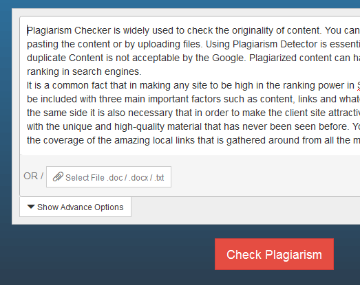 plagiarism checker